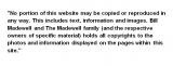 copyright.jpg