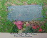 stone_lottie_walters.jpg